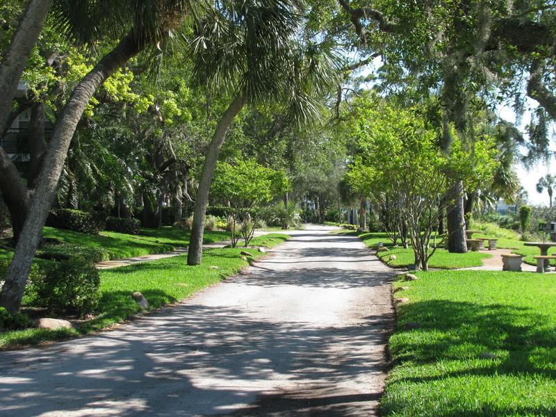 Stroll down historic Victoria Drive that connects you to Downtown Dunedin